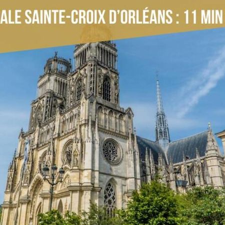 Spacieux Studio Neuf Orleans Centre Apartman Kültér fotó