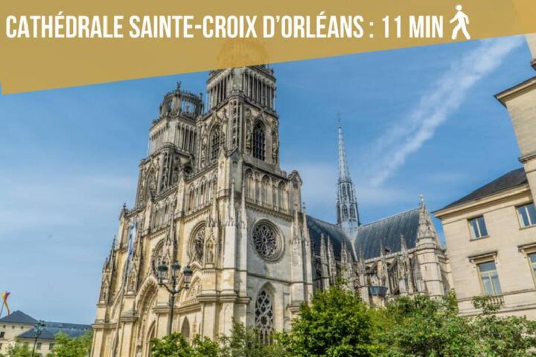 Spacieux Studio Neuf Orleans Centre Apartman Kültér fotó